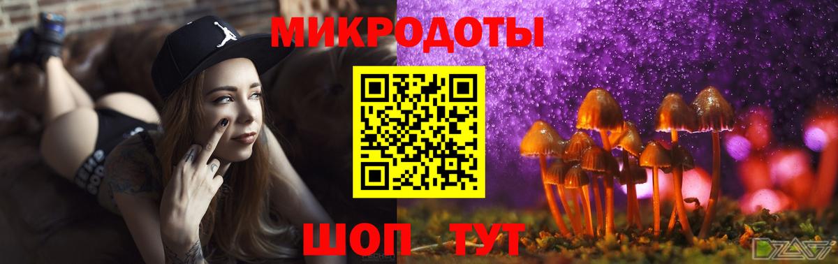 Псилоцибиновые грибы мицелий Гусь-Хрустальный